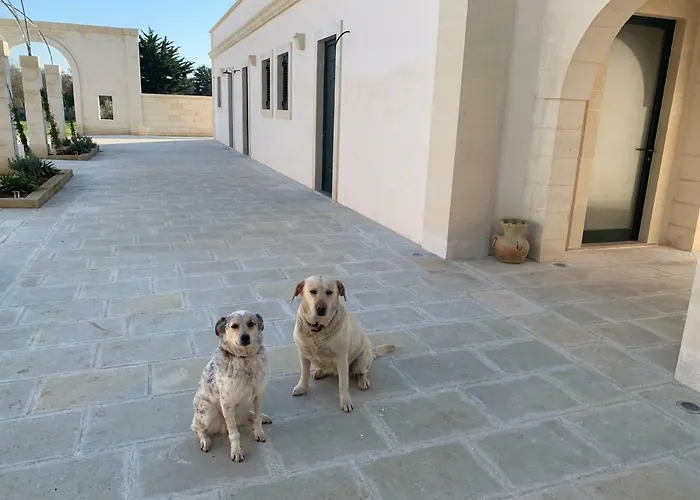 Bioagriturismo Messer Gesualdo * Nociglia